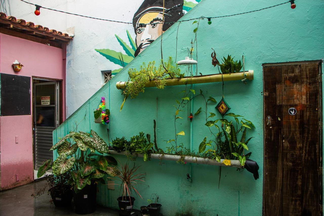 Puleiro Hostel Salvador Eksteriør bilde